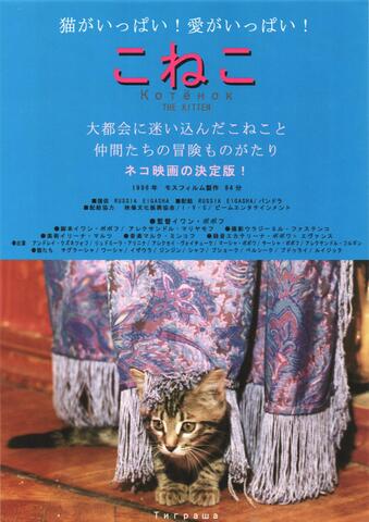 映画チラシ： （未1181）こねこ