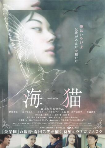 映画チラシ： （未768）海猫