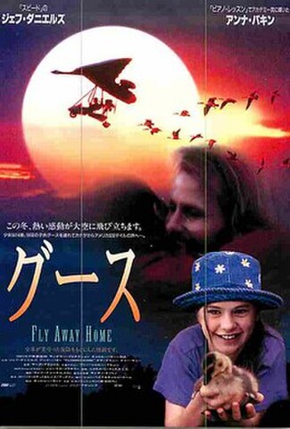 グース（試写状・シワあり）