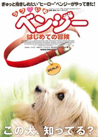 映画チラシ： ラブいぬベンジー　はじめての冒険（題字上）