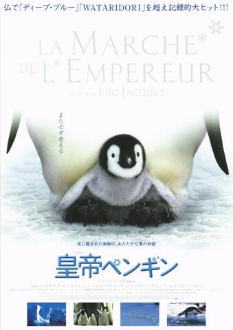 映画チラシ： （未784）皇帝ペンギン