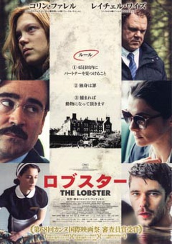 映画チラシ： ロブスター