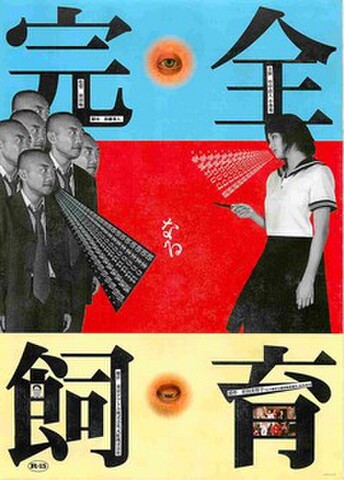 映画チラシ： 完全なる飼育