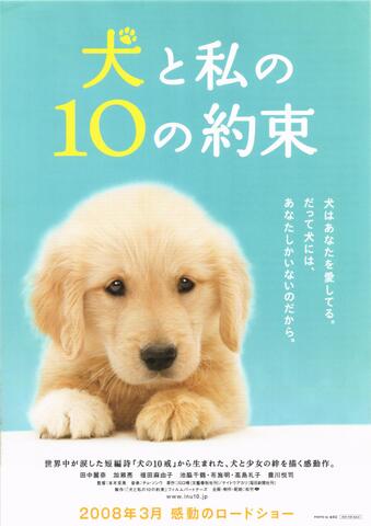 映画チラシ： （未949）犬と私の10の約束