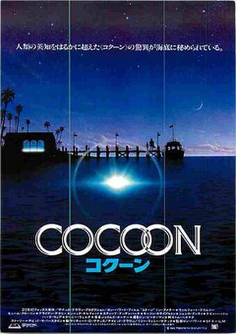 コクーン（試写状）