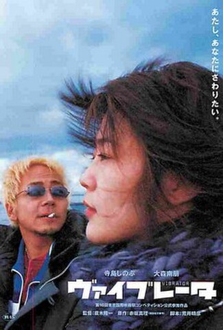 ヴァイブレータ（試写状）