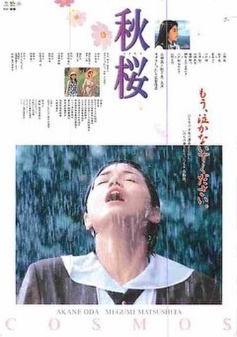 秋桜（試写状・宛名記入済）