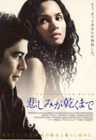悲しみが乾くまで（試写状・宛名記入済）
