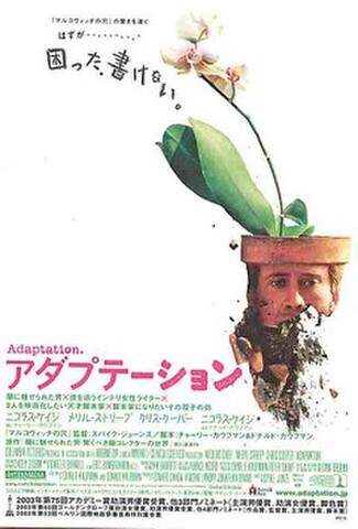 アダプテーション（試写状・題字片仮名・宛名記入済）