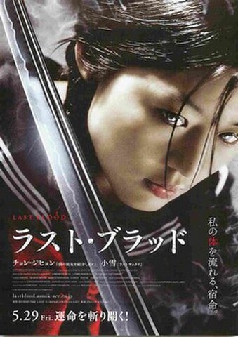 映画チラシ： ラスト・ブラッド（チョン・ジヒョン）（1人）