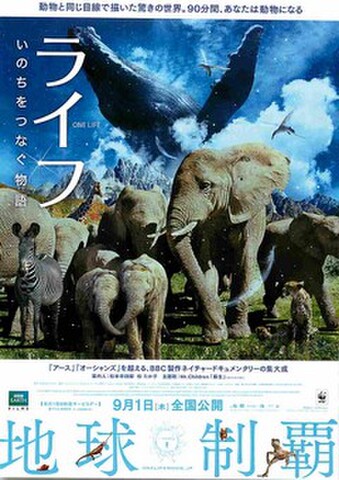 映画チラシ： ライフ　いのちをつなぐ物語（題字タテ）