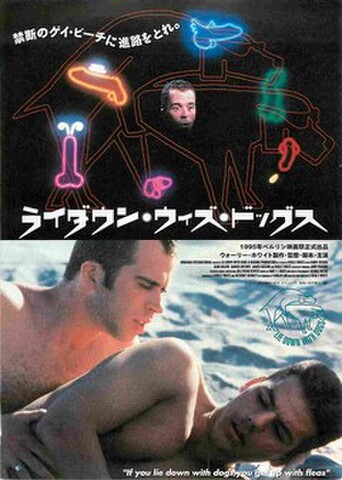 映画チラシ： ライダウン・ウィズ・ドッグス