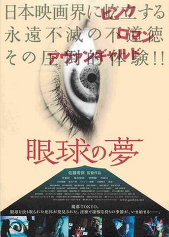 映画チラシ： 眼球の夢