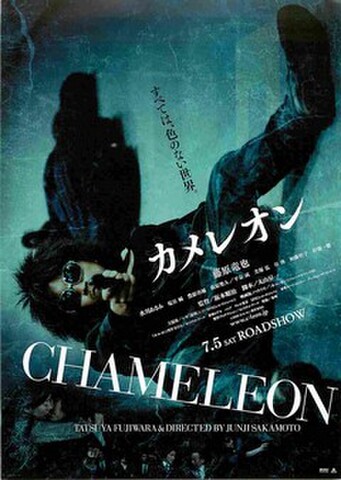 映画チラシ： カメレオン（英題あり）