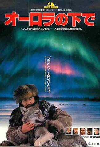 オーロラの下で（試写状）