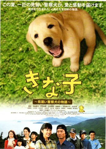 映画チラシ： （未801）きな子