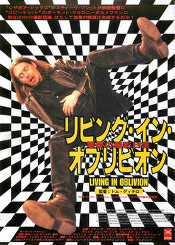 映画チラシ： リビング・イン・オブリビオン　悪夢の撮影日誌