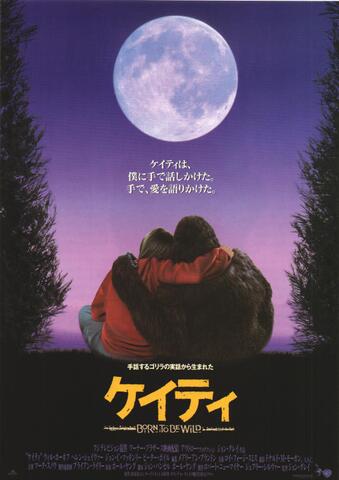 映画チラシ： （未395）ケイティ