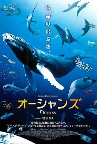 オーシャンズ（試写状・宛名シール跡あり）