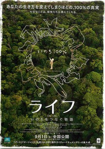 映画チラシ： ライフ　いのちをつなぐ物語（題字ヨコ）