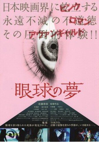 映画チラシ： 眼球の夢（3枚折・観音開き）