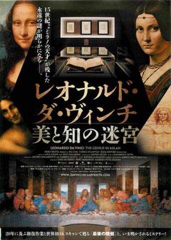 映画チラシ： レオナルド・ダ・ヴィンチ　美と知の迷宮