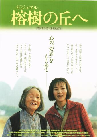 映画チラシ： （未800）榕樹の丘へ