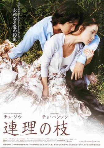 映画チラシ： 連理の枝（永遠なる愛の約束）