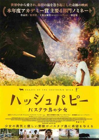 映画チラシ： ハッシュパピー　バスタブ島の少女（題字濃茶）