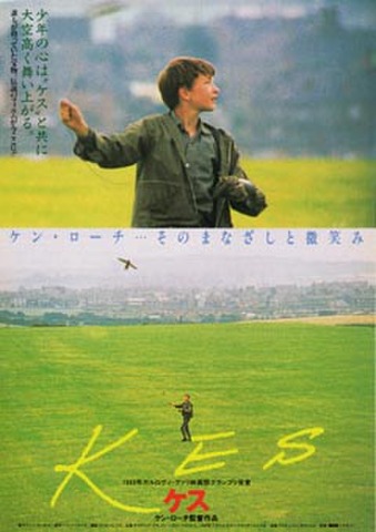 映画チラシ： ケス／レディバード・レディバード（2枚折）