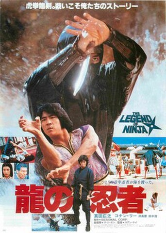 映画チラシ： 龍の忍者