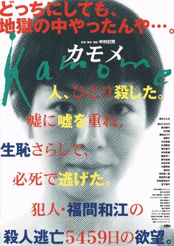 映画チラシ： （未046）カモメ