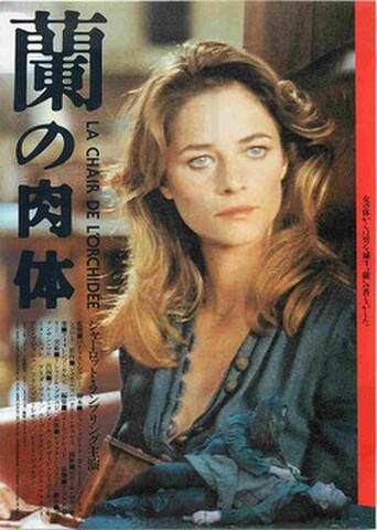 映画チラシ： 蘭の肉体