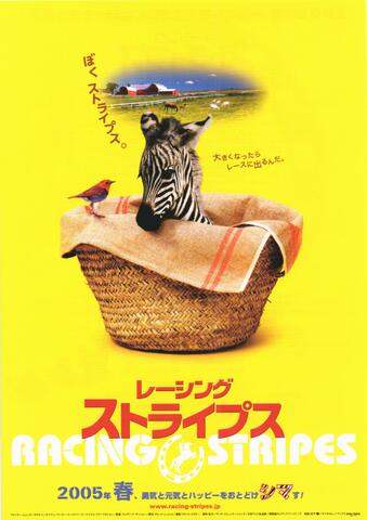 映画チラシ： （未1147）レーシング・ストライプ