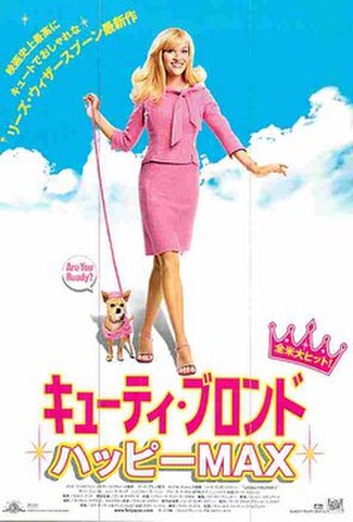 キューティー・ブロンド　ハッピーMAX（試写状）