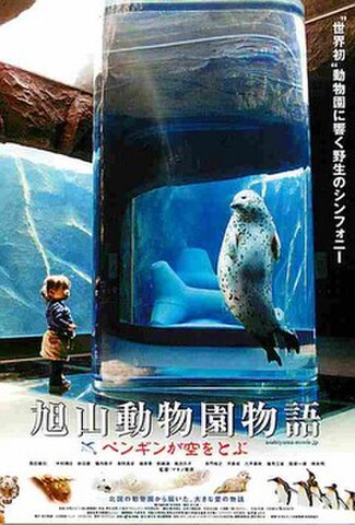 旭山動物園　ペンギンが空を（試写状）