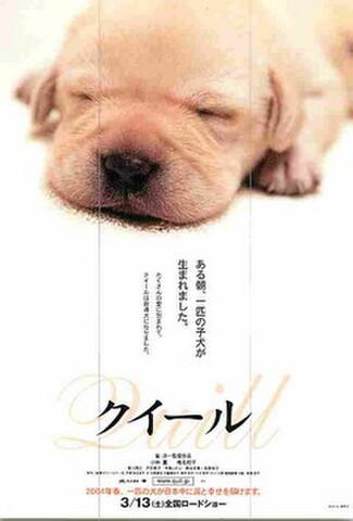 クイール（試写状）