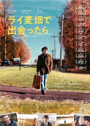 映画チラシ： ライ麦畑で出会ったら
