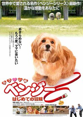 映画チラシ： ラブいぬベンジー　はじめての冒険（題字下）