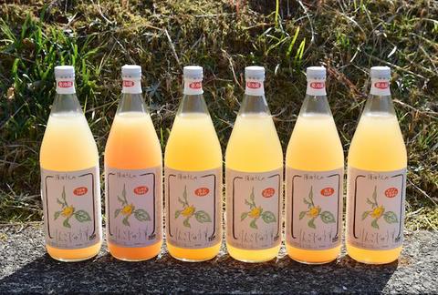 りんごジュース６本セット