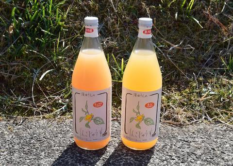 りんごジュース２本セット