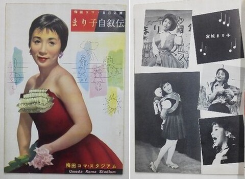 パンフレット、プログラム、リーフレット、機関紙、会員誌などの