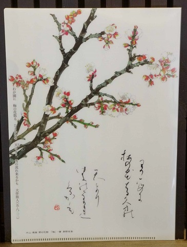 クリアファイル　梅　万葉集　早春　A5サイズ