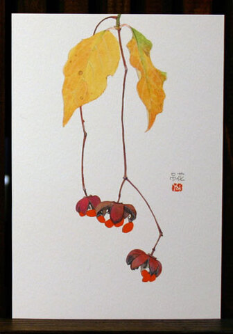 絵はがき（晩秋）「吊花」