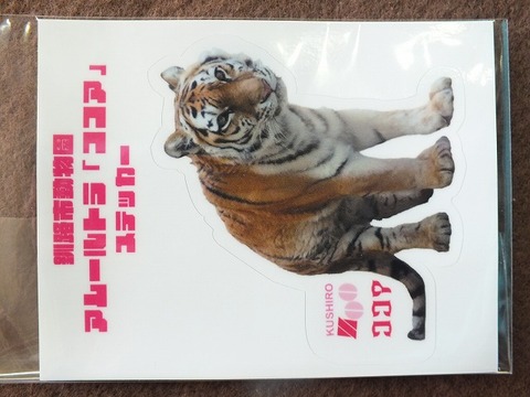 新品/釧路市動物園/アムールトラ/ココア/ブランケット/ひざ掛け
