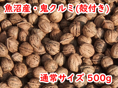令和5年/魚沼産・鬼クルミ（殻付き）500g