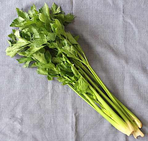 香味野菜（にんにく・しょうがなど）の商品一覧 | トマトプロジェクト