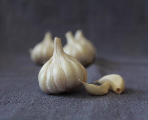 香味野菜（にんにく・しょうがなど）の商品一覧 | トマトプロジェクト