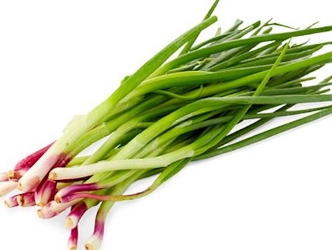 香味野菜ページ NYを中心にアメリカで話題のベジヌードルと高知県産ミョウガを