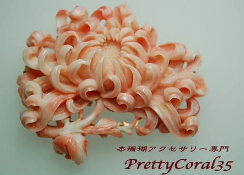帯留の商品一覧 | 本珊瑚アクセサリー専門店 Pretty Coral35 ...